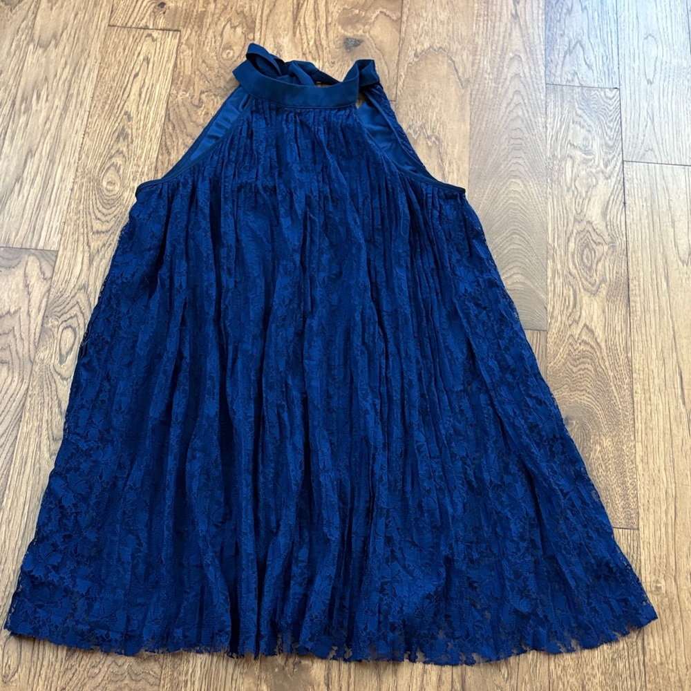 Francesca's Collections Deep Blue Lace Mini Dress